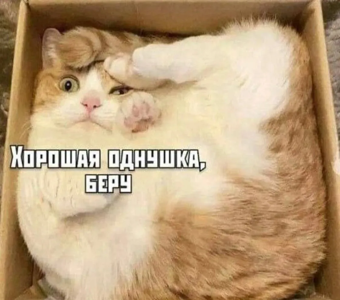 📉 Цены на массовое жильё в Краснодаре продолжают оставаться на уровне последних лет

На рынке недви