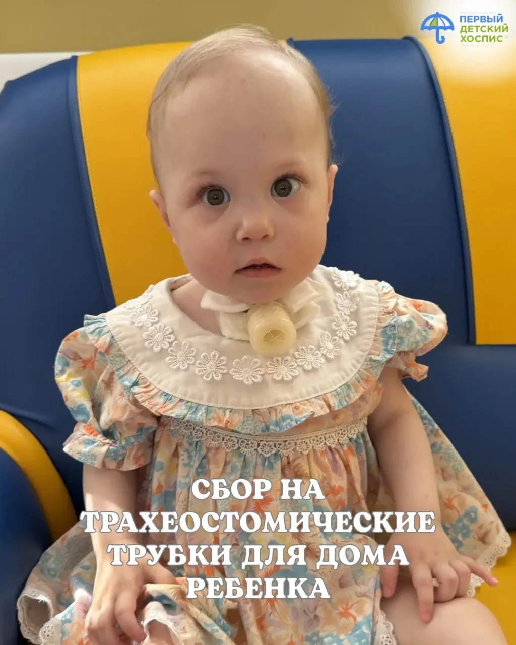 ❤️ Собрано 48 800 рублей.