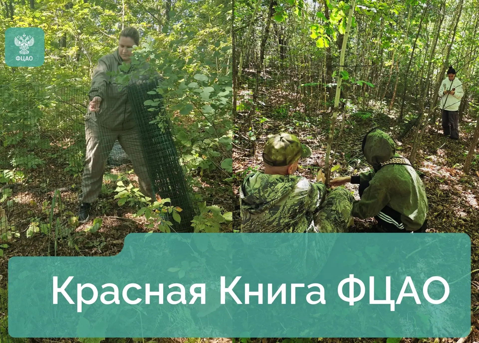 Сотрудники НИЦ «Красная книга» создают условия для сохранения редких растений