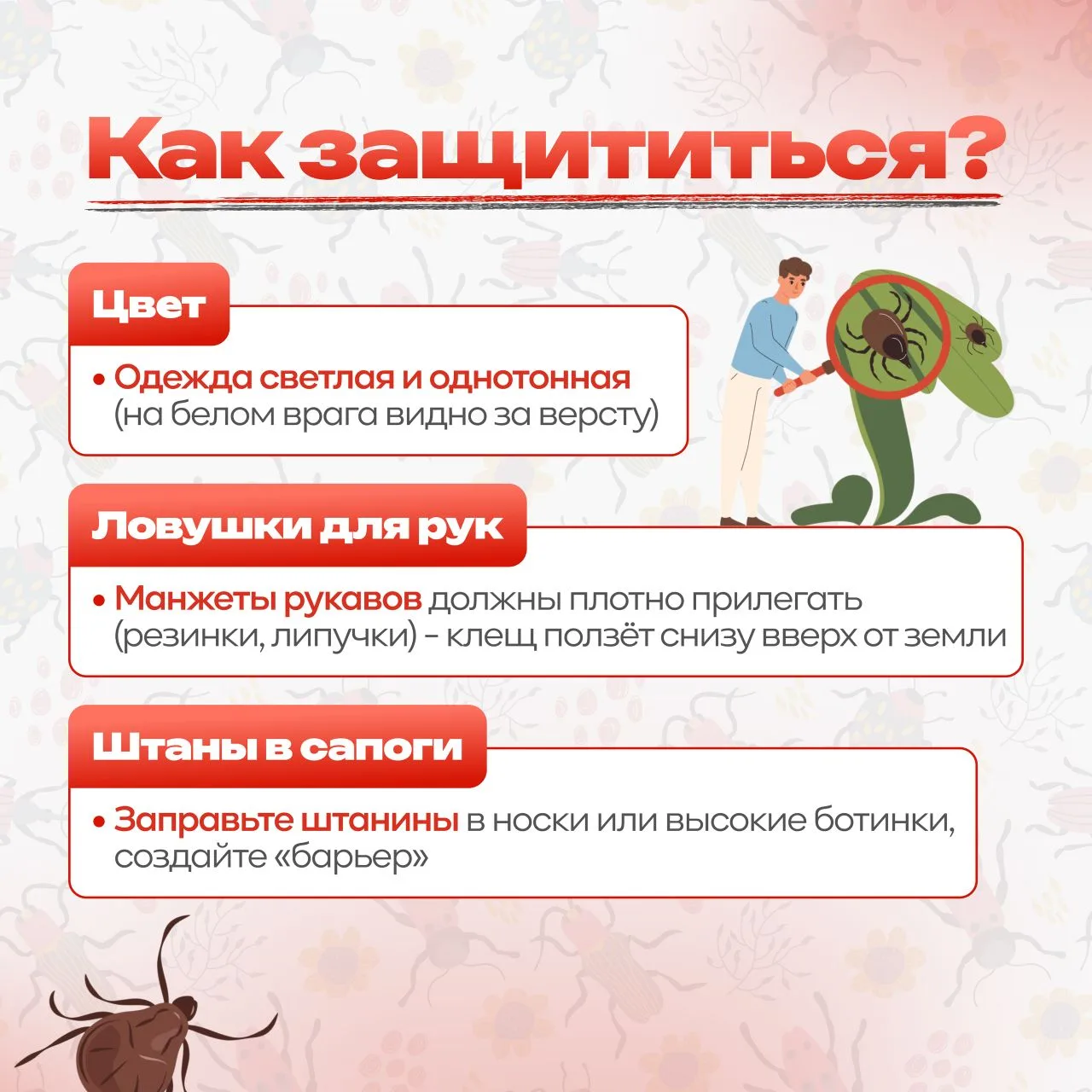 🕷️ Весна — время прогулок, солнца и… незваных гостей в траве. Клещи уже проснулись и поджидают момен