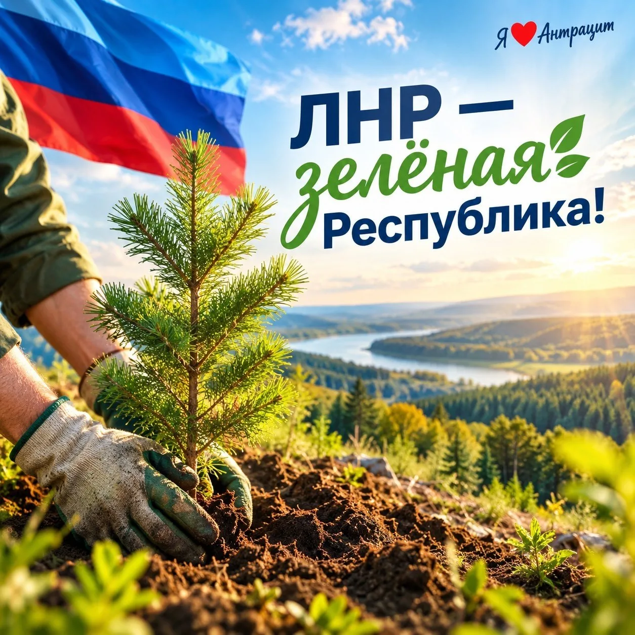 🌳🌲 Этой осенью в ЛНР высадят новые леса на площади более 75 гектаров. 🌱