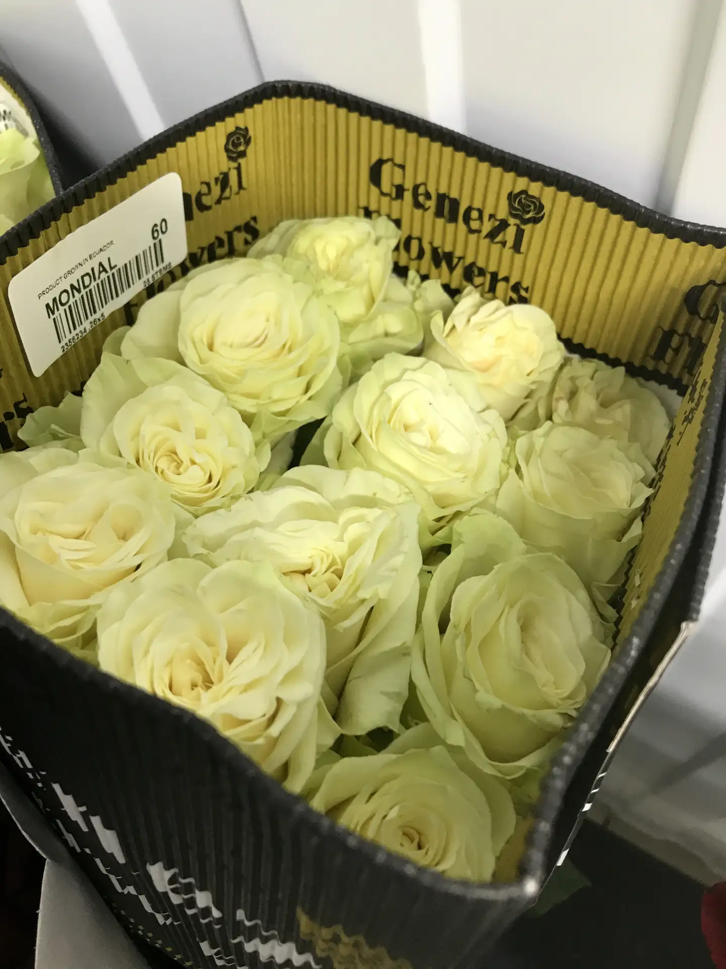 Свободный остаток на складе, приход 22.06.

✅ Мондиаль-60см-Эквадор-90₽
✅ Эксплорер-60см-Эквадор-90₽
