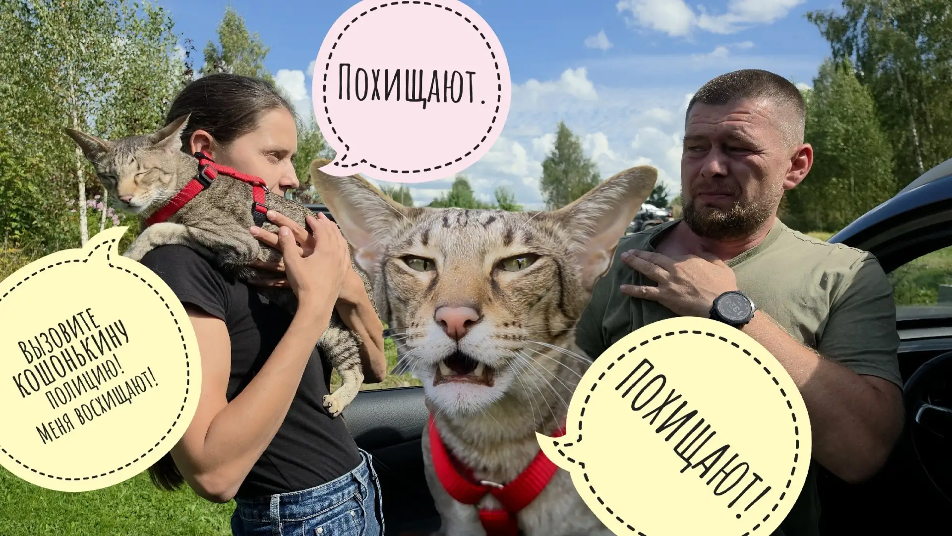 Треугольного кота Марселя забрали с каникул в Москву! Пёс Кубик получил двойную порцию ...