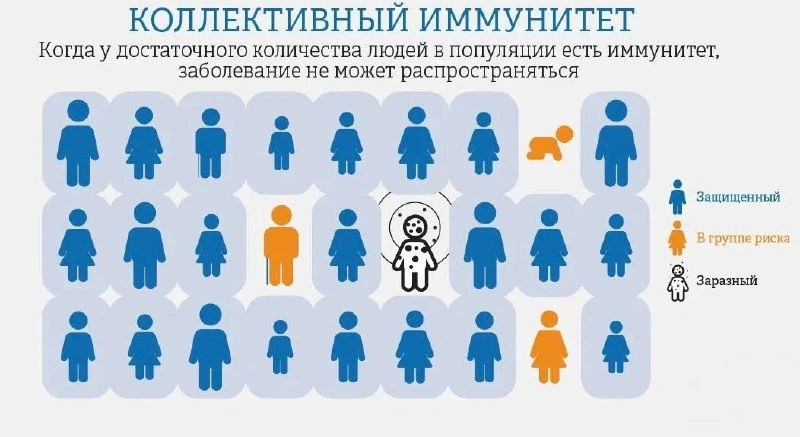 Что такое коллективный иммунитет и какую роль он играет