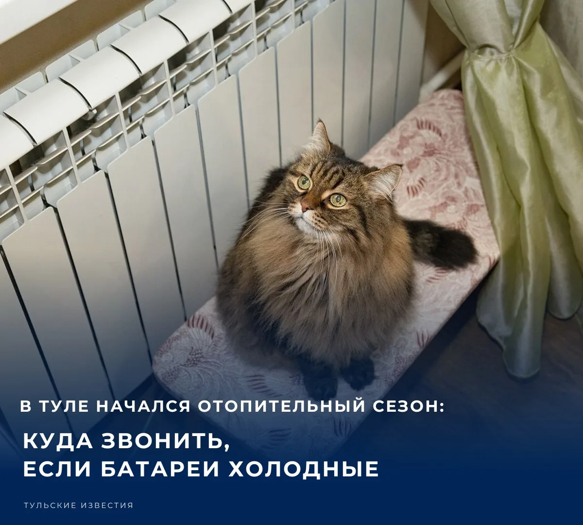 2 октября в Туле официально начался отопительный сезон. На подачу теплоносителя в много...
