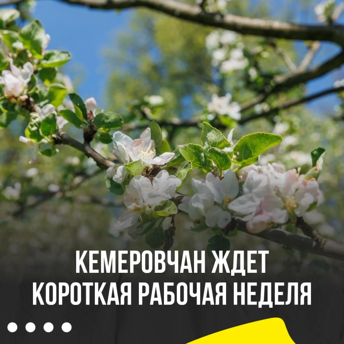 🥳Кемеровчан ждёт короткая рабочая неделя после выходных  Рабочая неделя с 12 по 15 мая будет сокращё