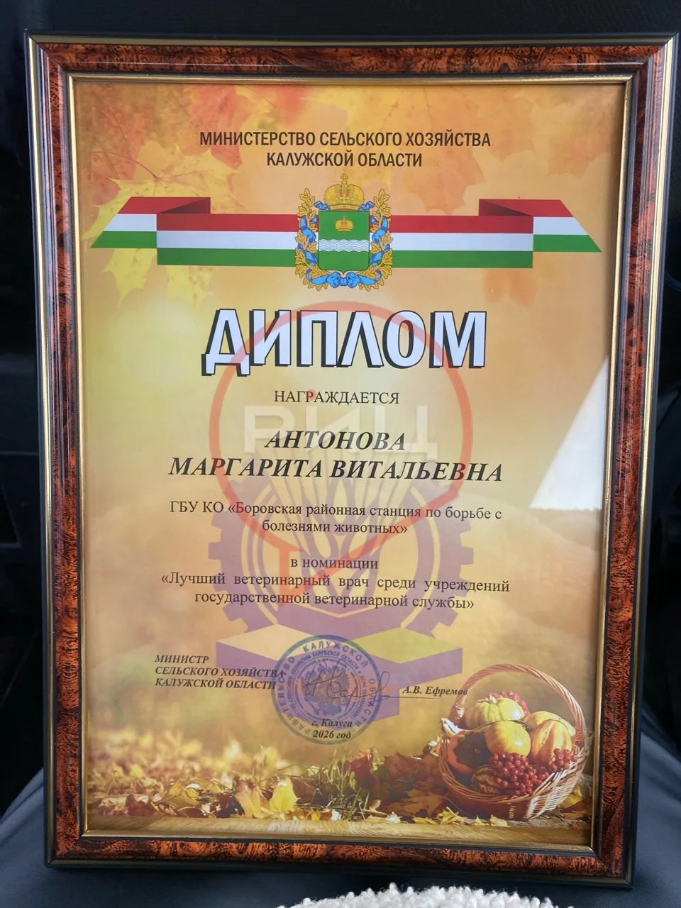 Быть примером!  Маргарита АНТОНОВА из Боровска удостоена звания «Лучший ветеринарный врач среди учре