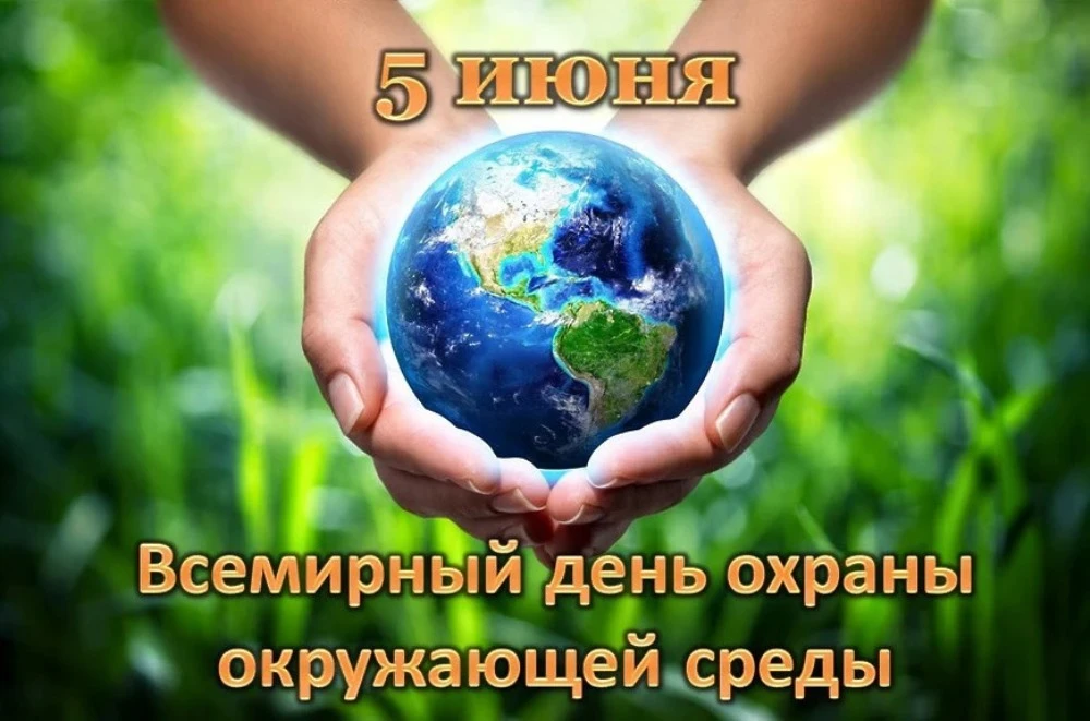 Обучающиеся колледжа стали участниками мероприятия «Экосистема: зелёный марафон»