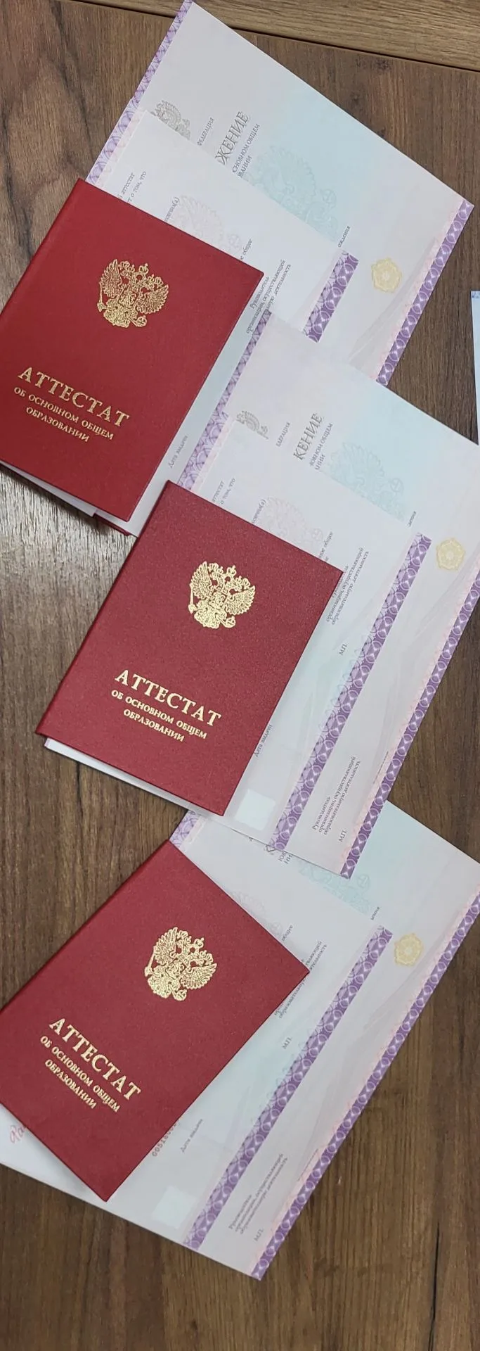 Выпускники 9 класса, получившие красные аттестаты, — это гордость нашей школы. Каждый из них доказал