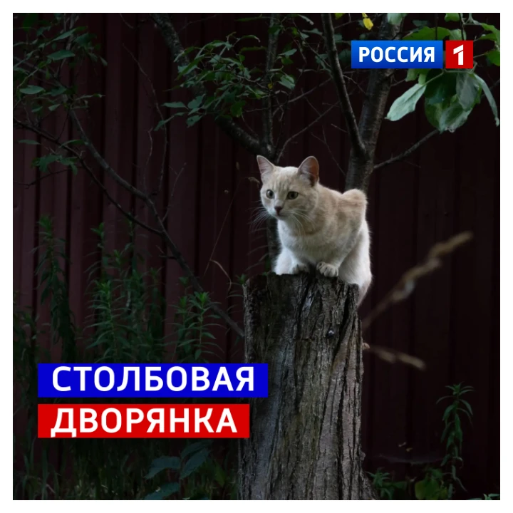 🗓️ 4 октября, воскресенье