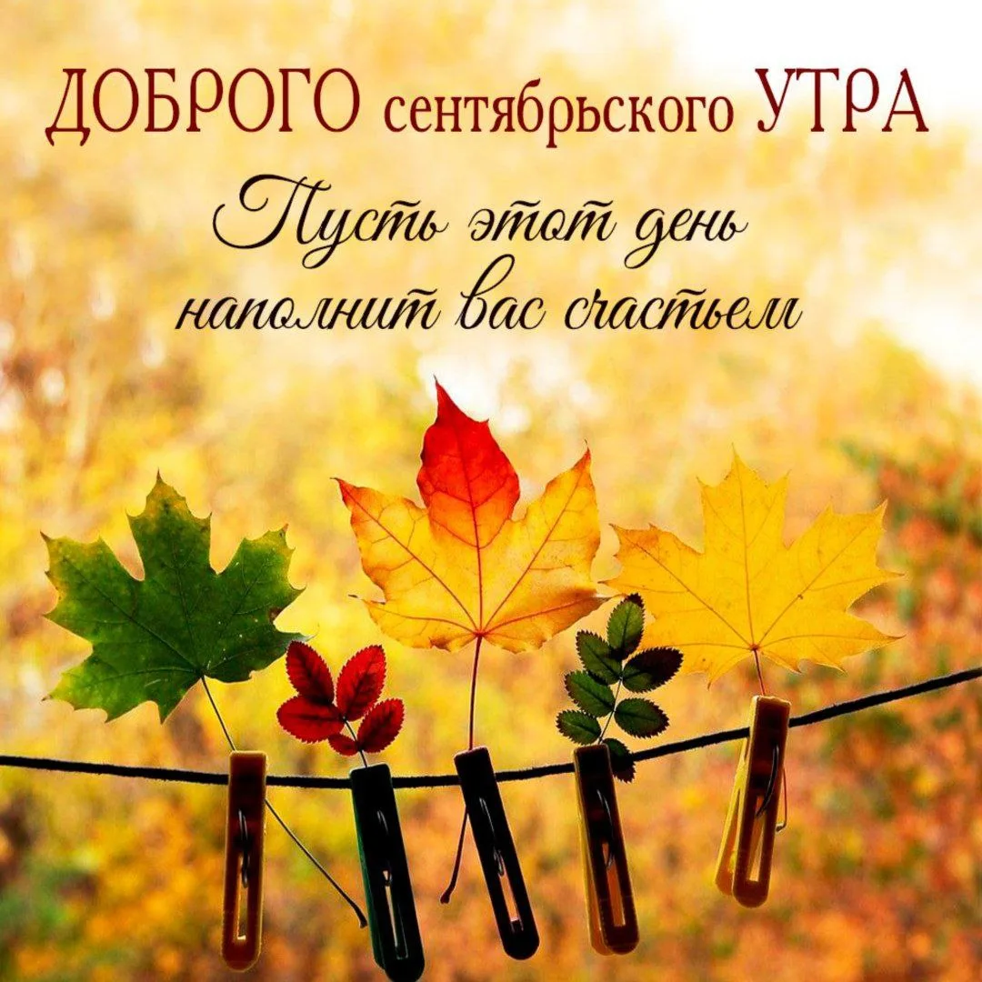 Доброе утро! 🌷