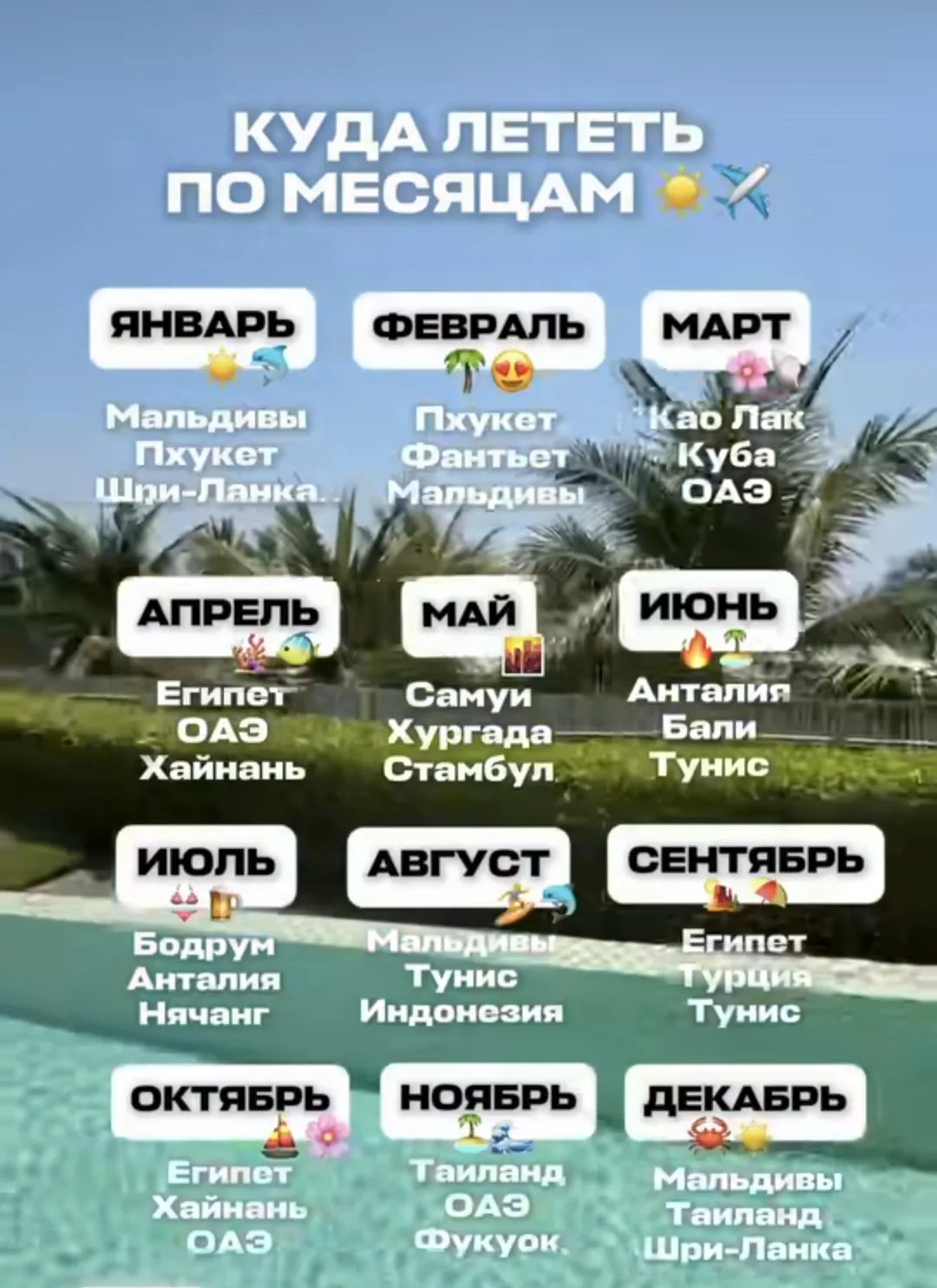Куда лететь в течение года? ✈️☀️