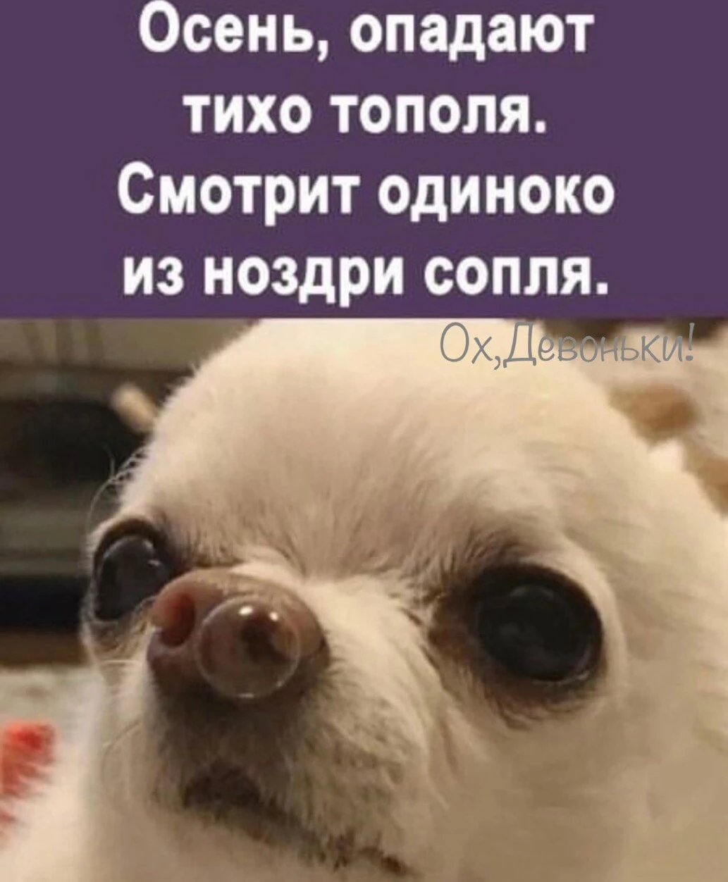 Самый сильный антибиотик