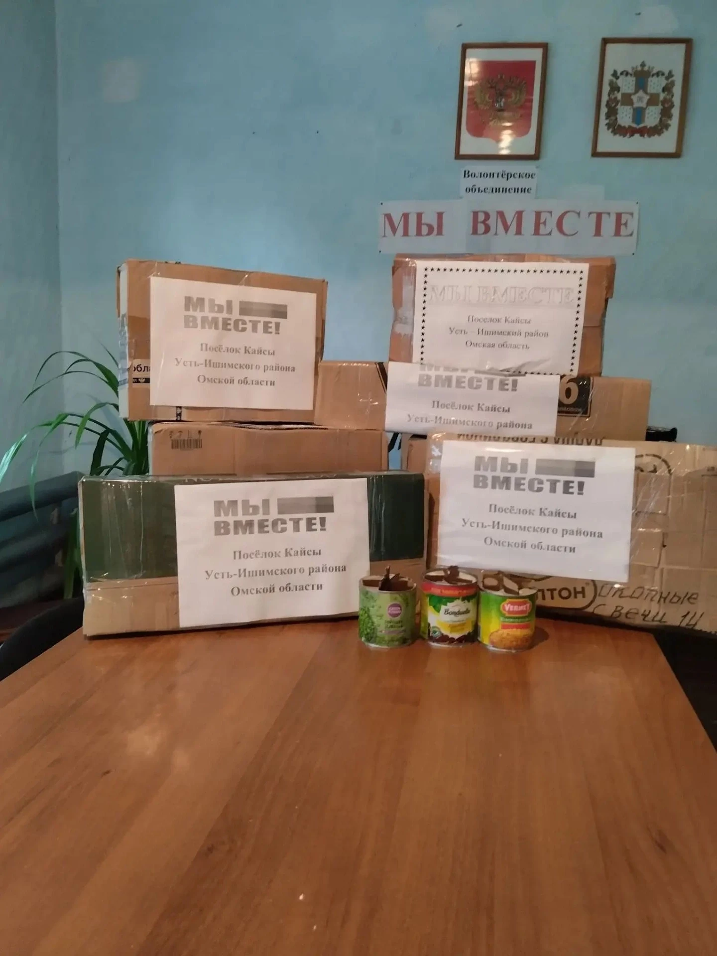 Волонтерской группой Кайсинского сельского поселения «Мы - вместе!» были собраны и отпр...