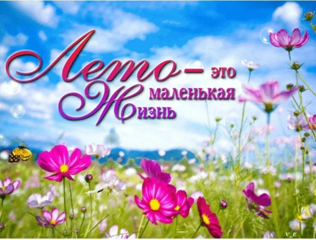 ЛЕТО - ЭТО МАЛЕНЬКАЯ ЖИЗНЬ!
