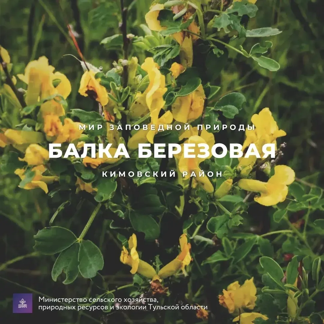 #Красотародногокрая