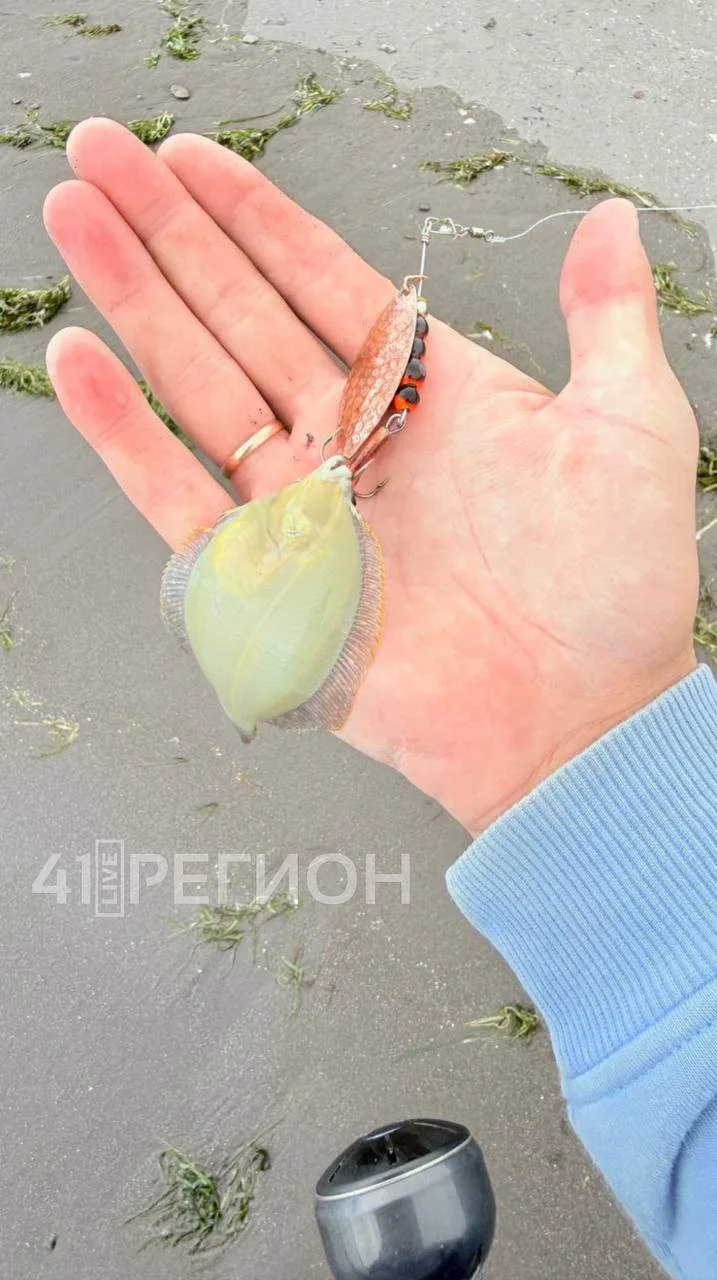 Царь-рыба 😂