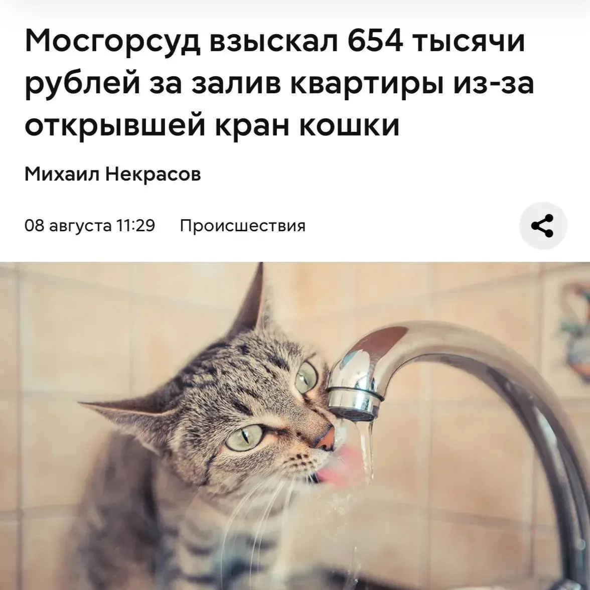 Новая фобия: кошка затопила квартиру, открыв кран лапкой.