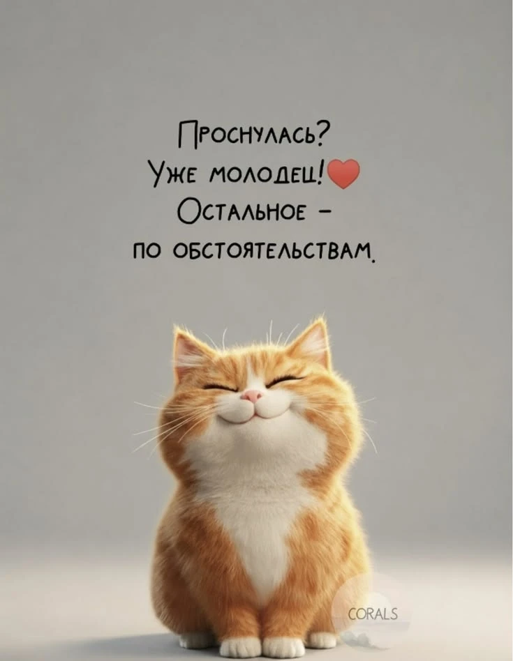 https://max.ru/se13912156_biz