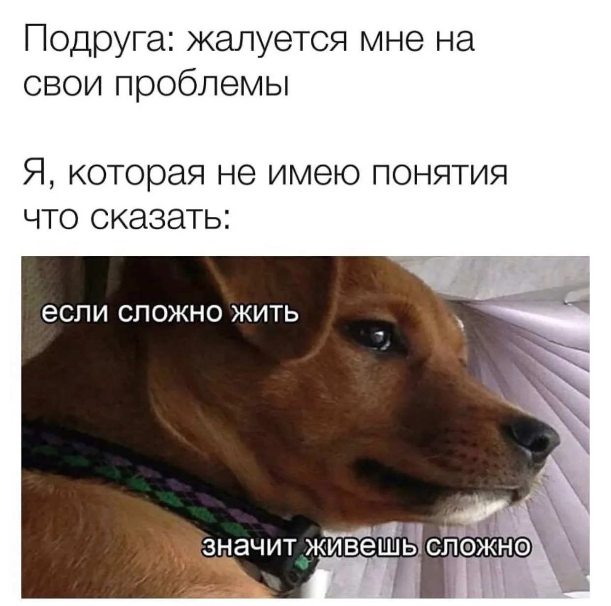 @memachh