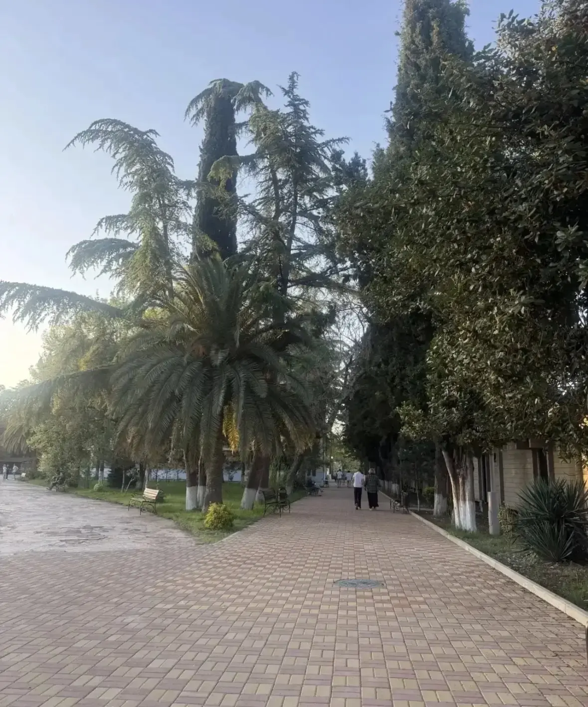 Абхазия "все включено": твой отдых без головной боли🌴⛱️🍹