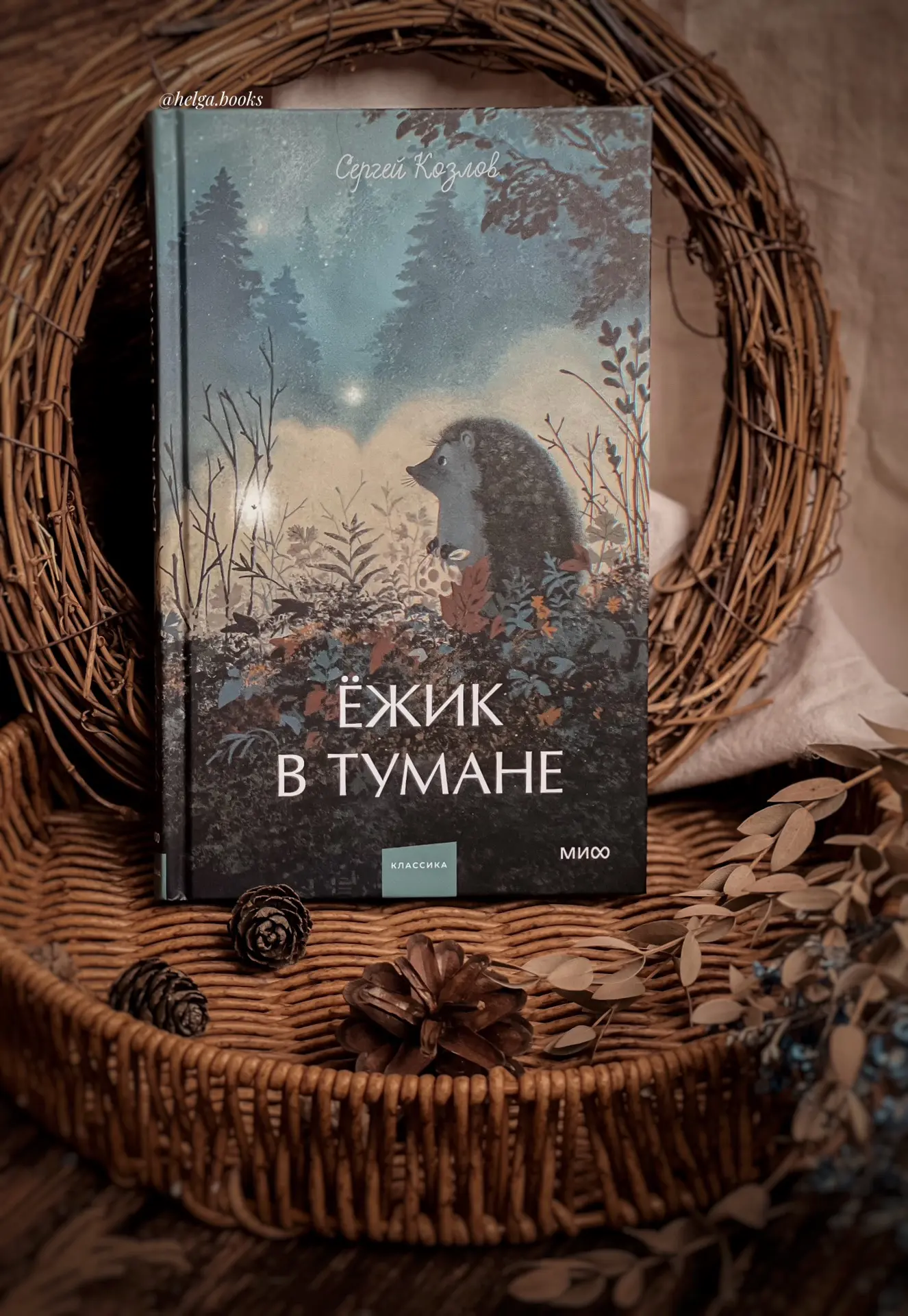 📖 Ёжик в тумане 
✍️ Сергей Козлов 
📠 mif.proza 

🌟10/10
❓Читали/Планируете? Любите детские книги?