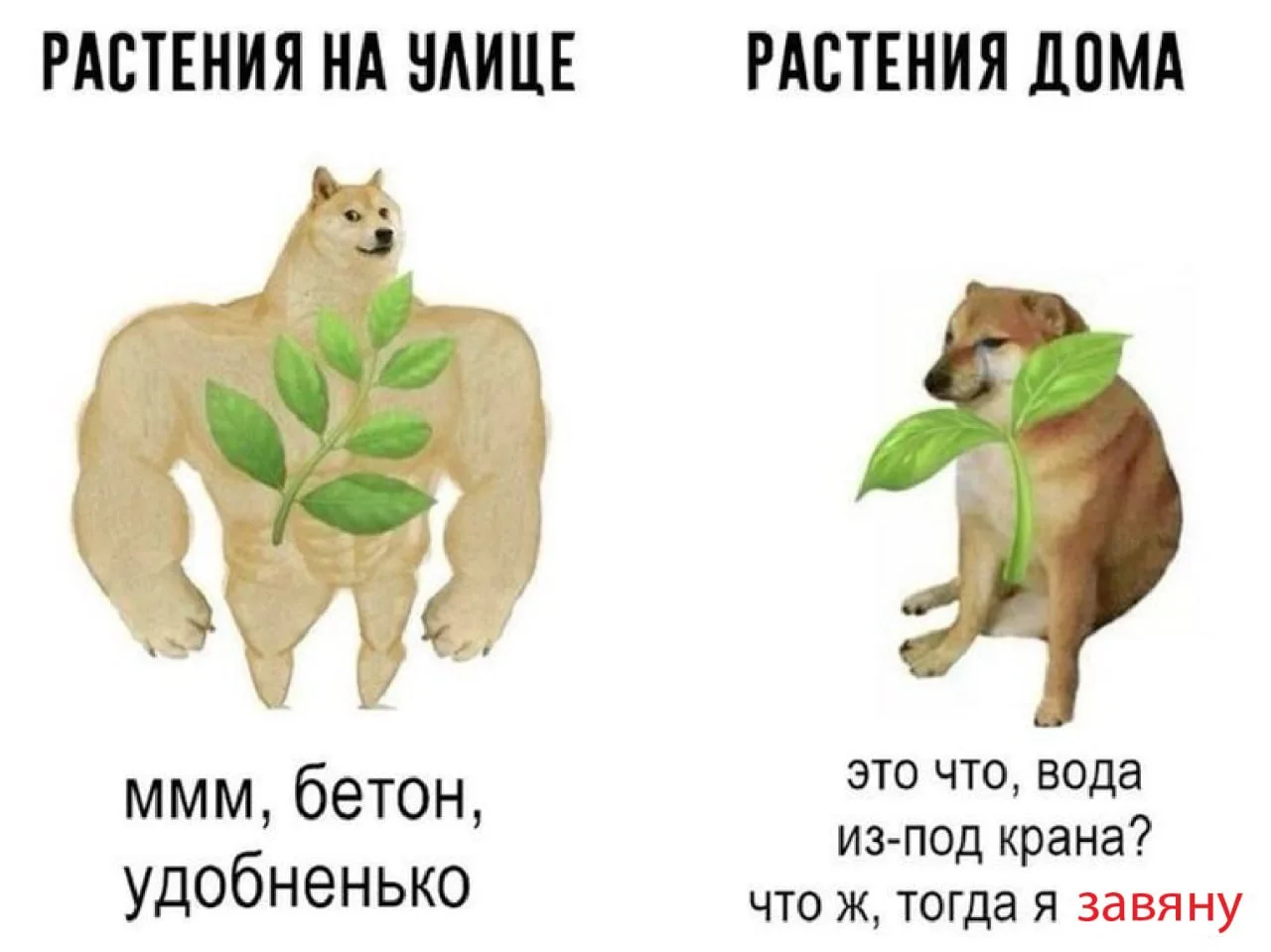 Это то, над чем мы смеемся прямо сейчас😅