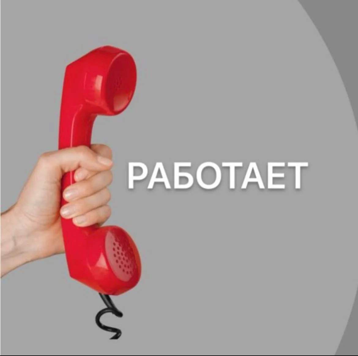 Доброе утро, дорогие!

Сегодня хочу поговорить о здоровье желудочно-кишечного тракта. Многие из нас 