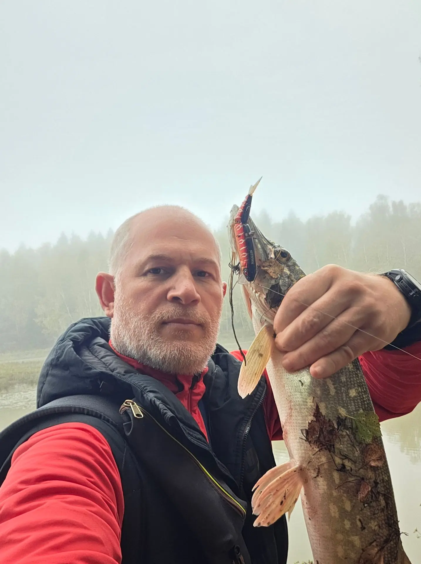​Легендарная классика в деле: есть зубастая! 🎣🍁💥