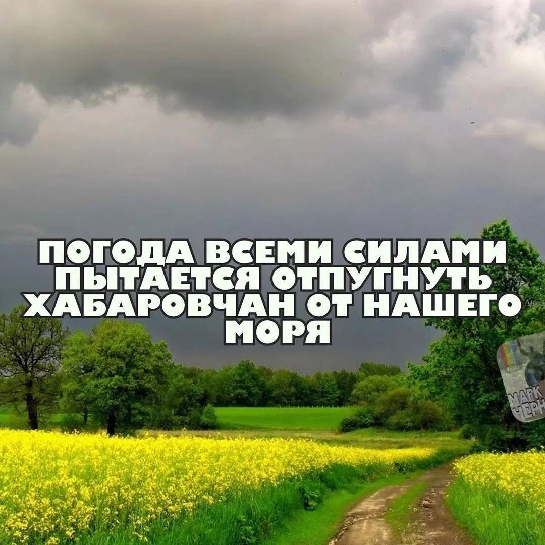 Ссылка на канал в МАХ: https://max.ru/m_chernosliv
