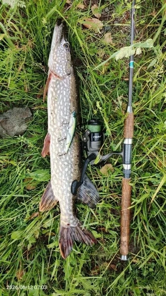 🎣Секретные места, караси и щуки: чем порадовала рыбалка в Алтайском крае

Участники «Алтайского рыб
