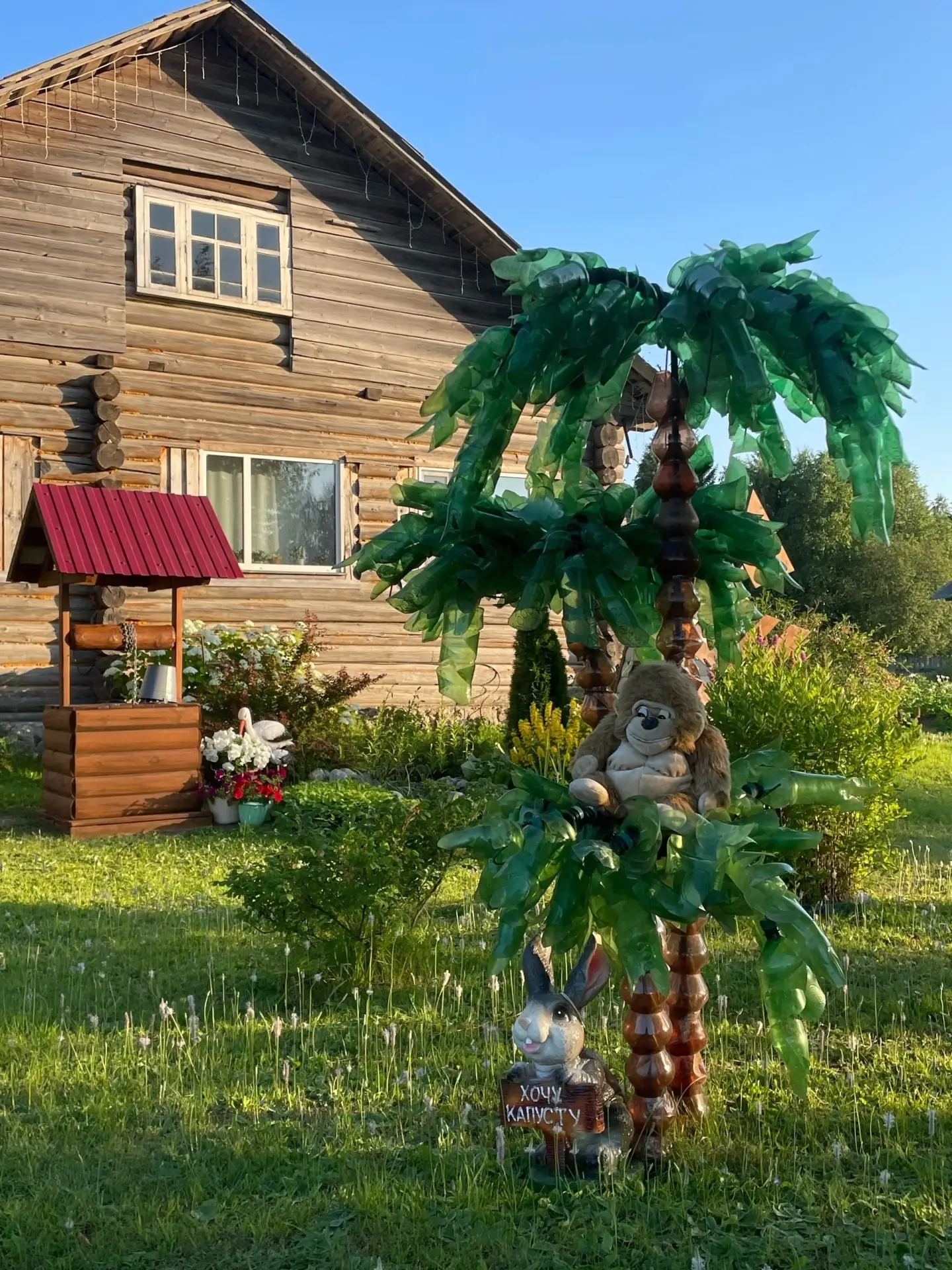 Райский уголок своими руками 🌸

Только посмотрите, какую красоту создала на своём участке жительниц