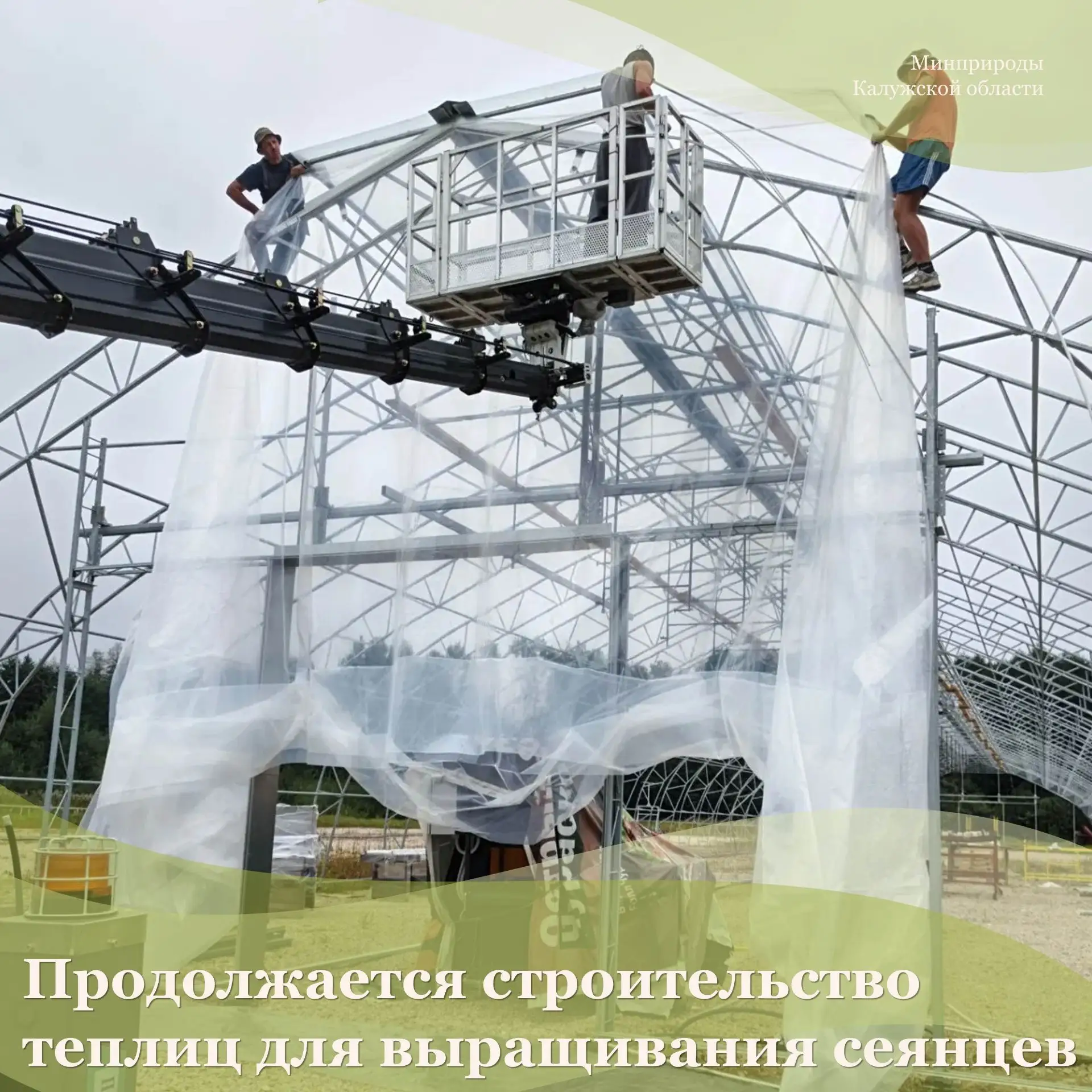 Продолжается строительство теплиц для выращивания сеянцев