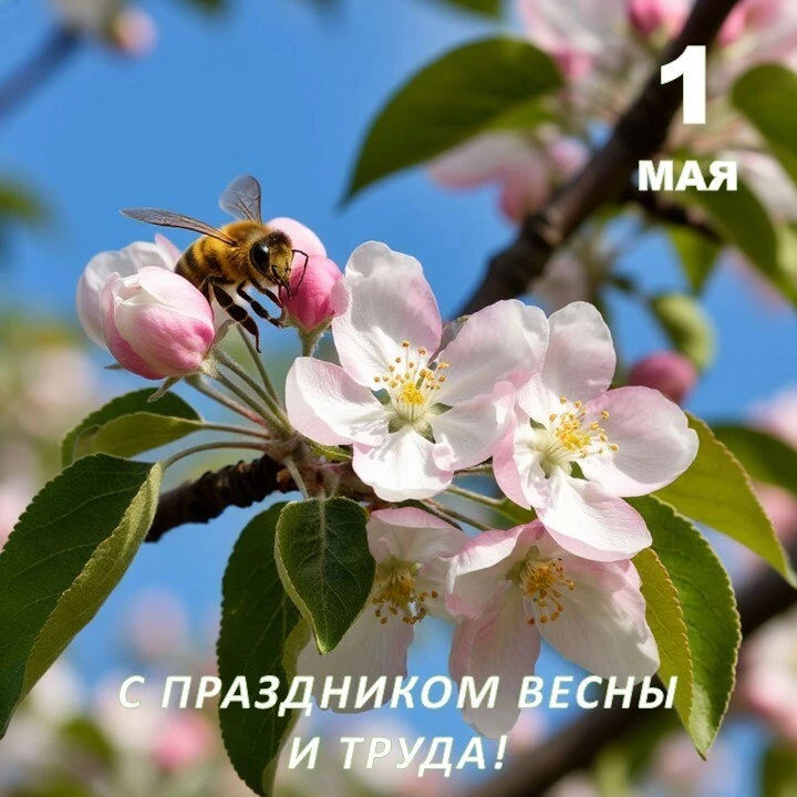 Дорогие жители Белокалитвинского района!