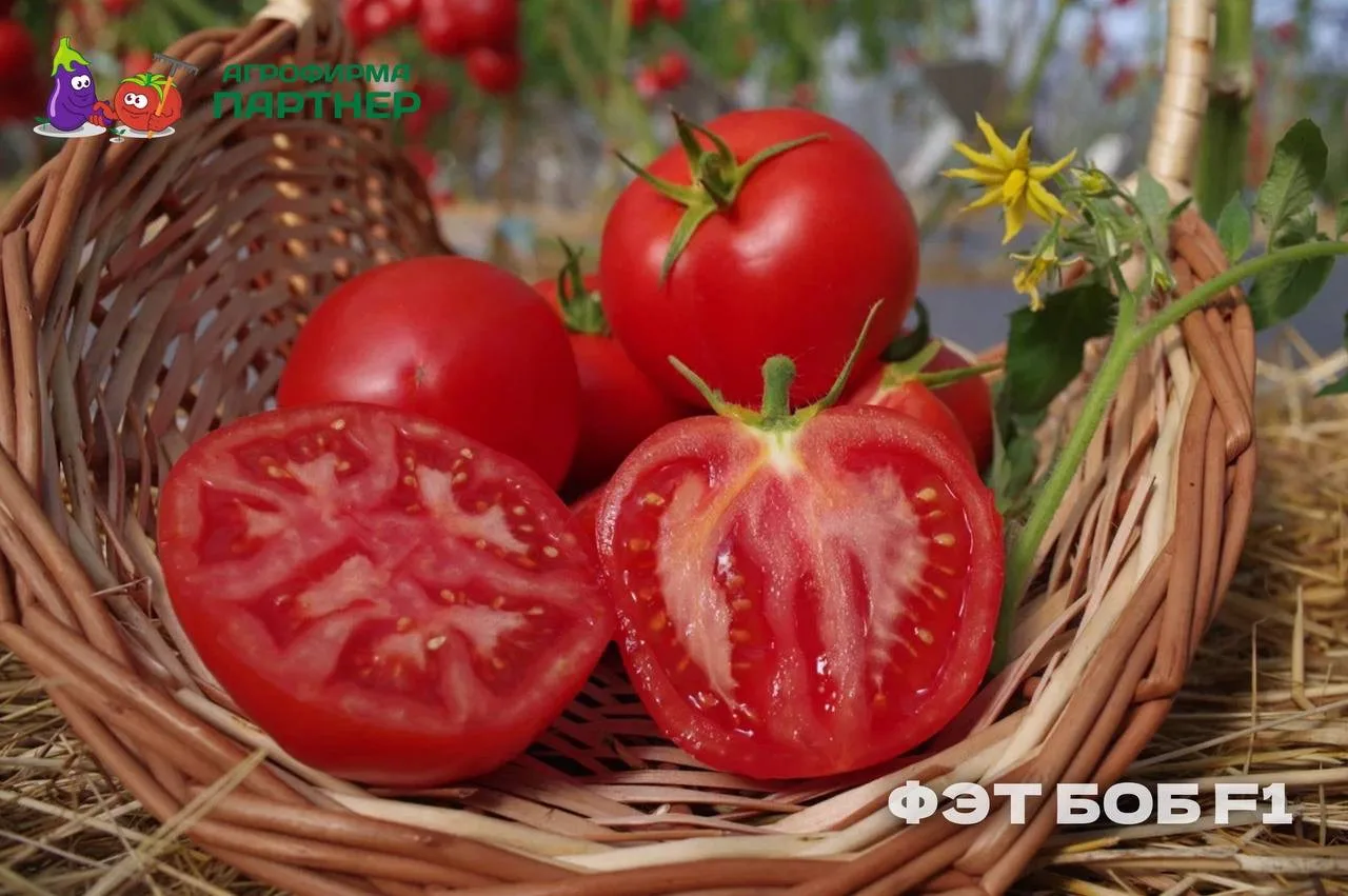 🧃 Овощные соки: полезно, вкусно, просто!

Это не только свежий вкус лета, но и мощная поддержка для