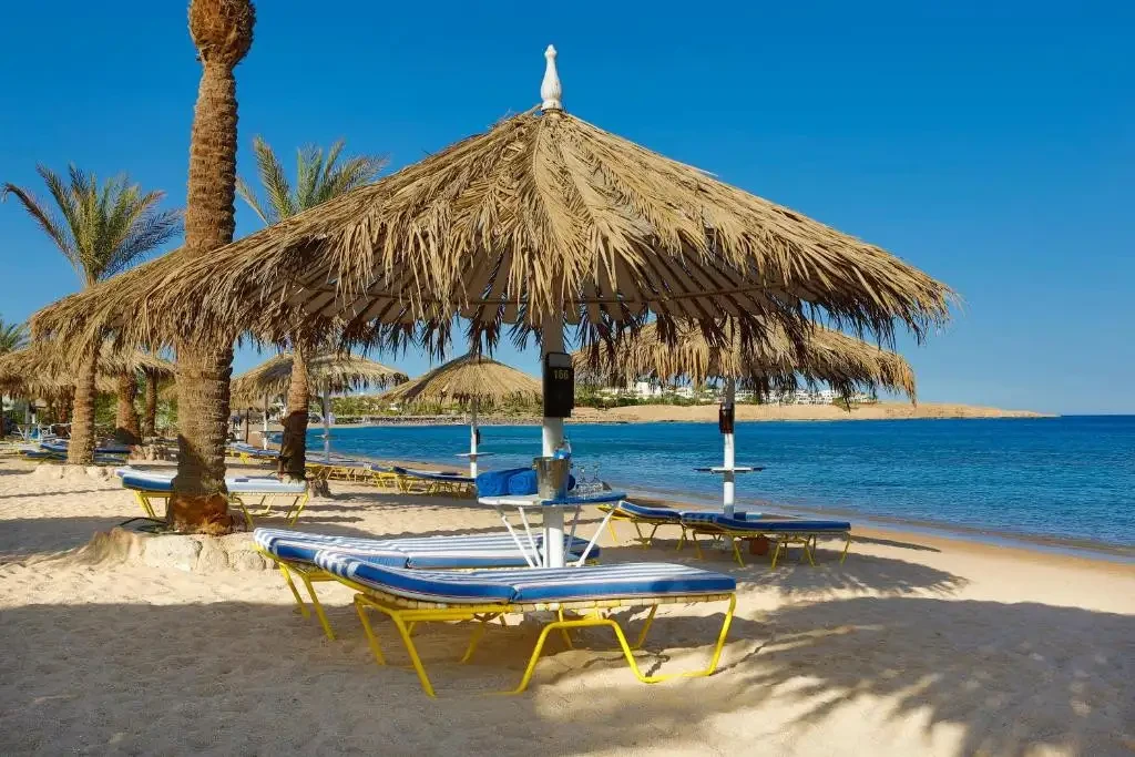 🌴Jaz Sharm Dreams Resort 5*