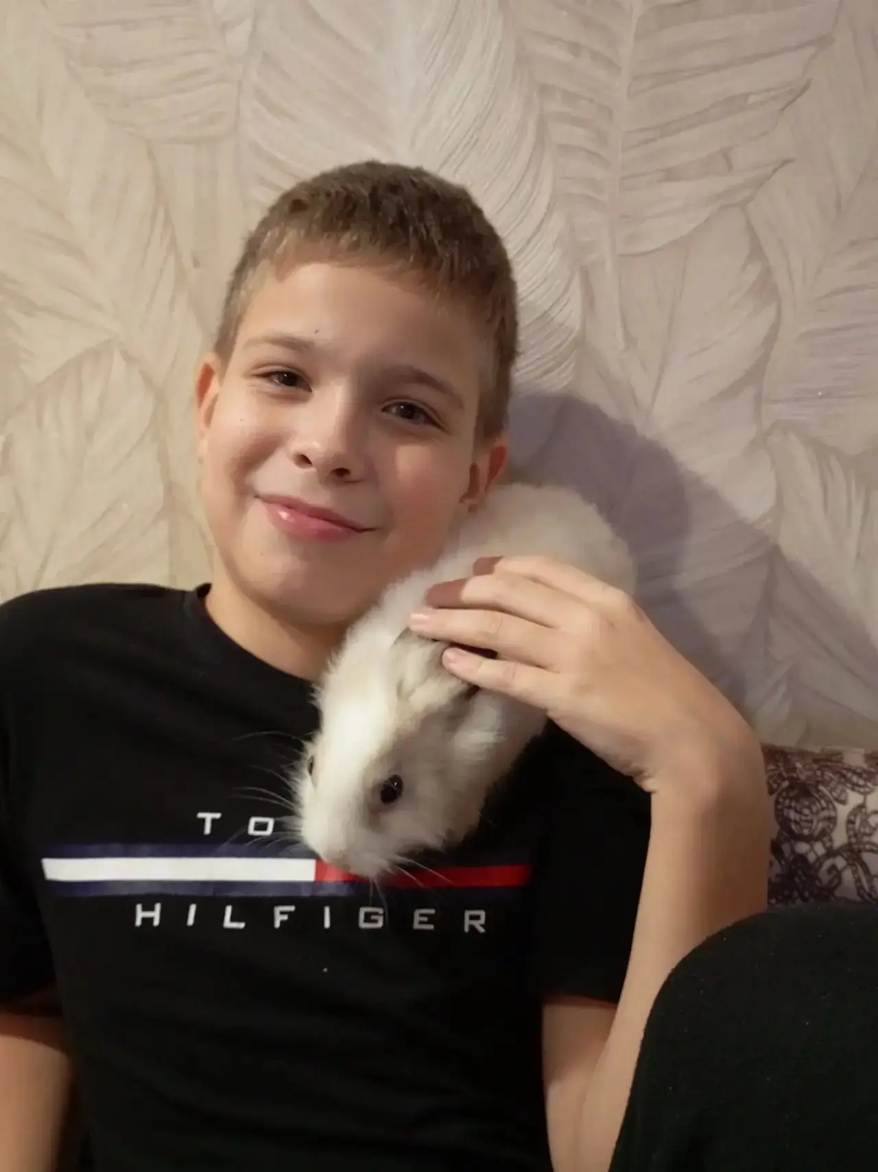 😺🐶Акция: «Моё сердце — их защита»