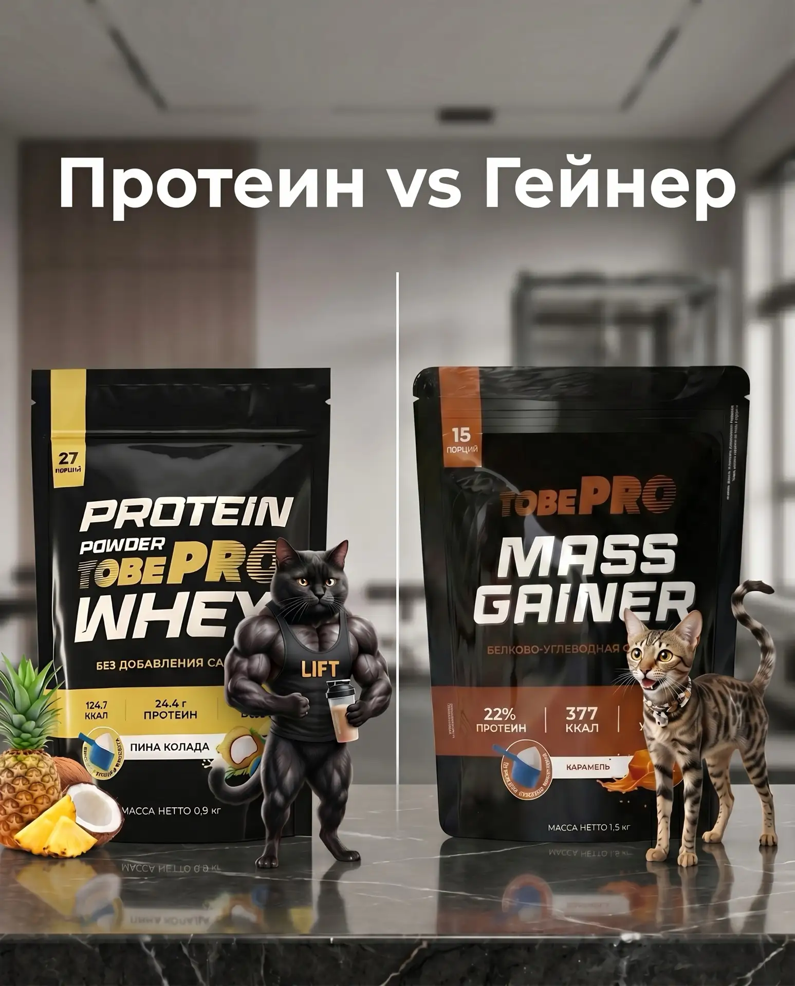 Протеин vs Гейнер. Объясняем в чем разница на кошках
