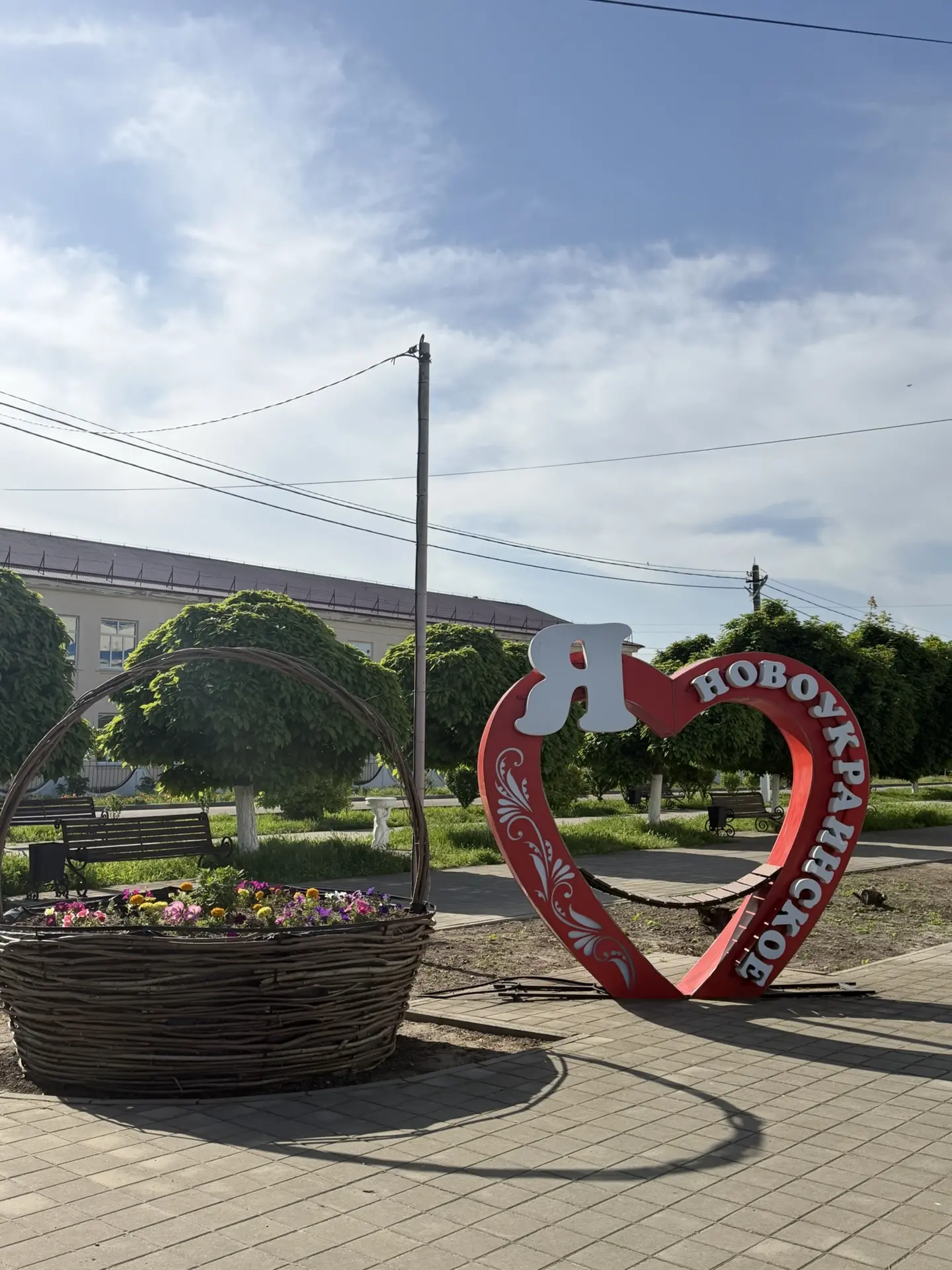 Доброе солнечное утро ☀️🌼
