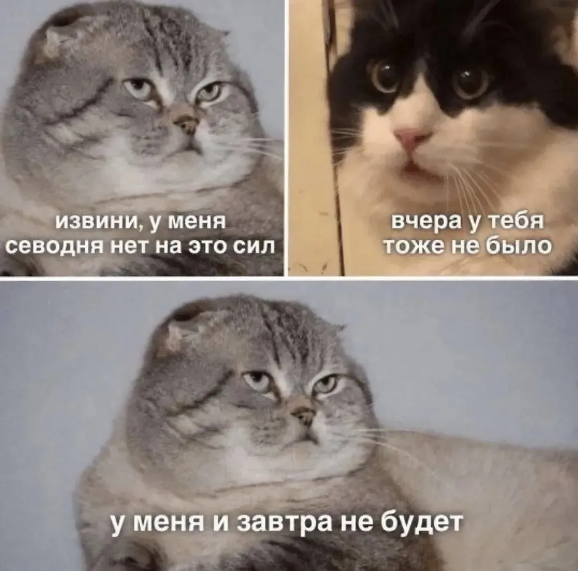 У меня их никогда нет