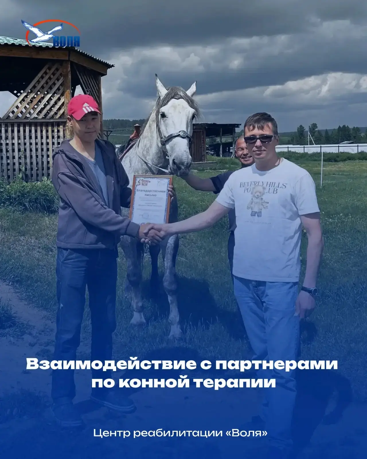"Конная Терапия в д. Барда: Новые горизонты исцеления и гармонии!"

 Сила партнерства в действии! 
М
