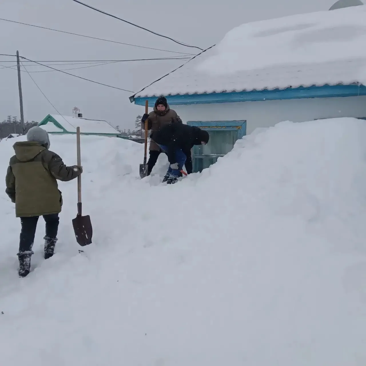 Вам, Любимые! Весна начинается с благодарности 🌷