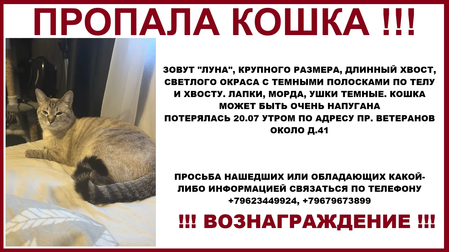 ________________________
👉ЗАКАЗАТЬ РЕКЛАМУ👈
👩‍💻Администратор канала