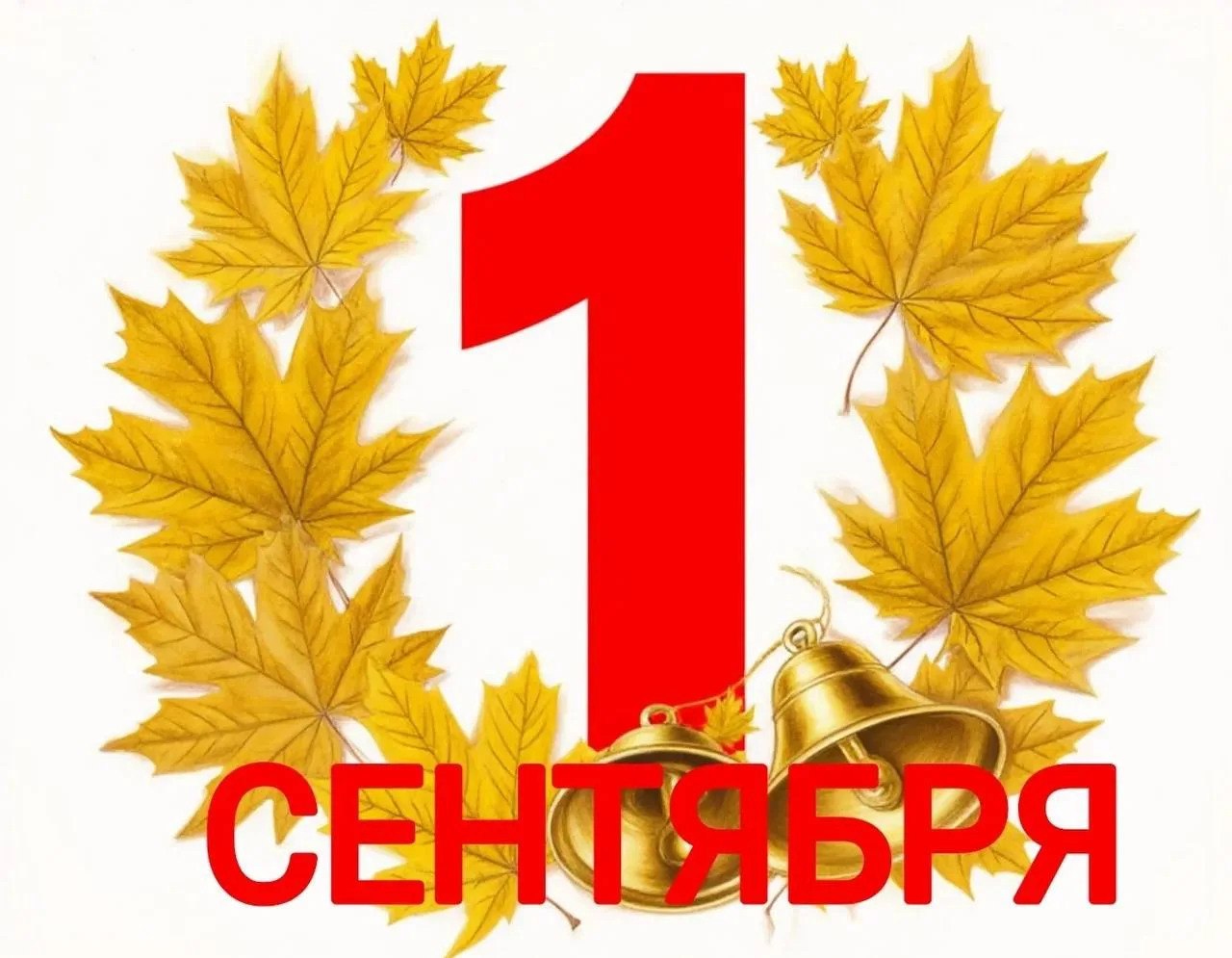 В школах Краснодара линейки 1 сентября проведут только для первоклассников и выпускников