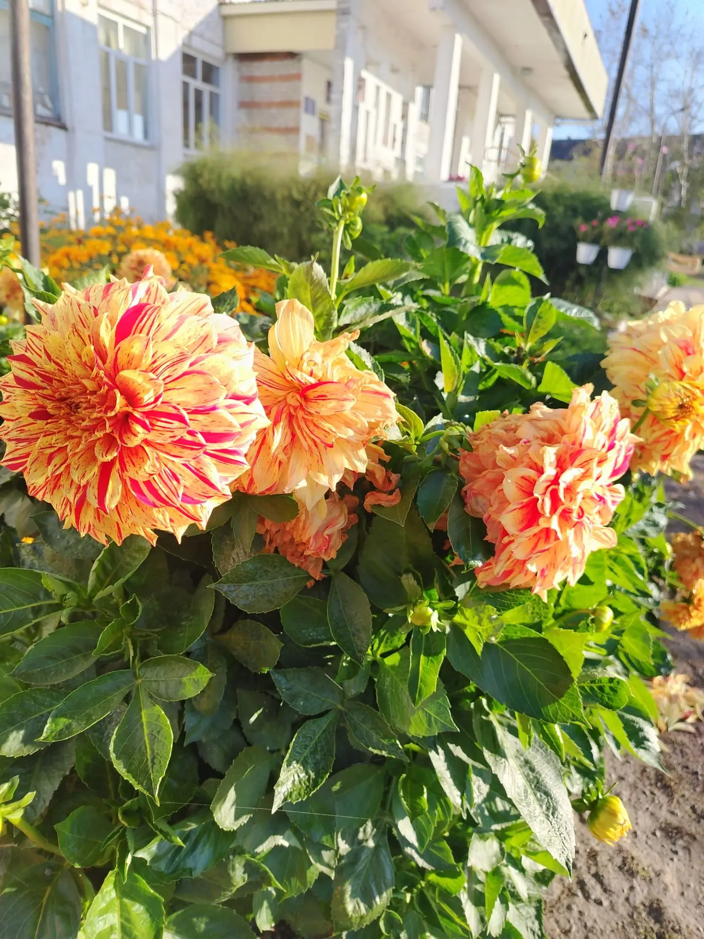 Вот бы всю осень такая погода🌞 Радуемся каждому дню😍