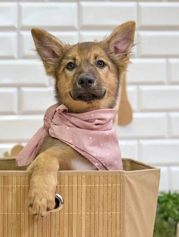 Сегодня у нас день приветиков ❤️