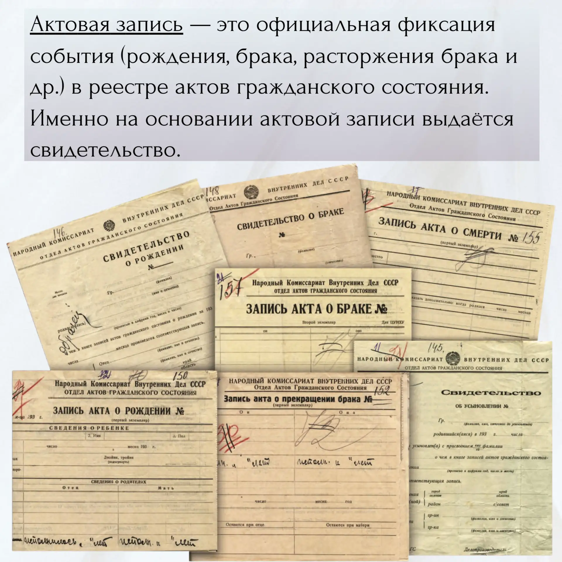 📚 Словарь органов ЗАГС: термины, которые знают сотрудники и молодожёны