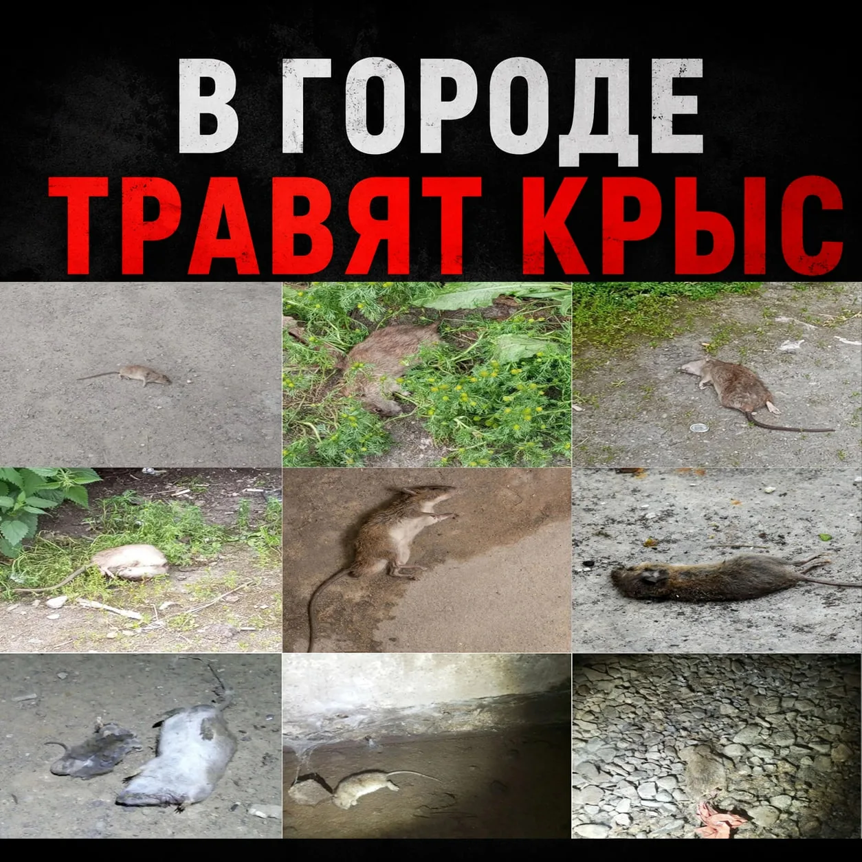 Изображение 1 к публикации «Мурманск | ПВМ №1»