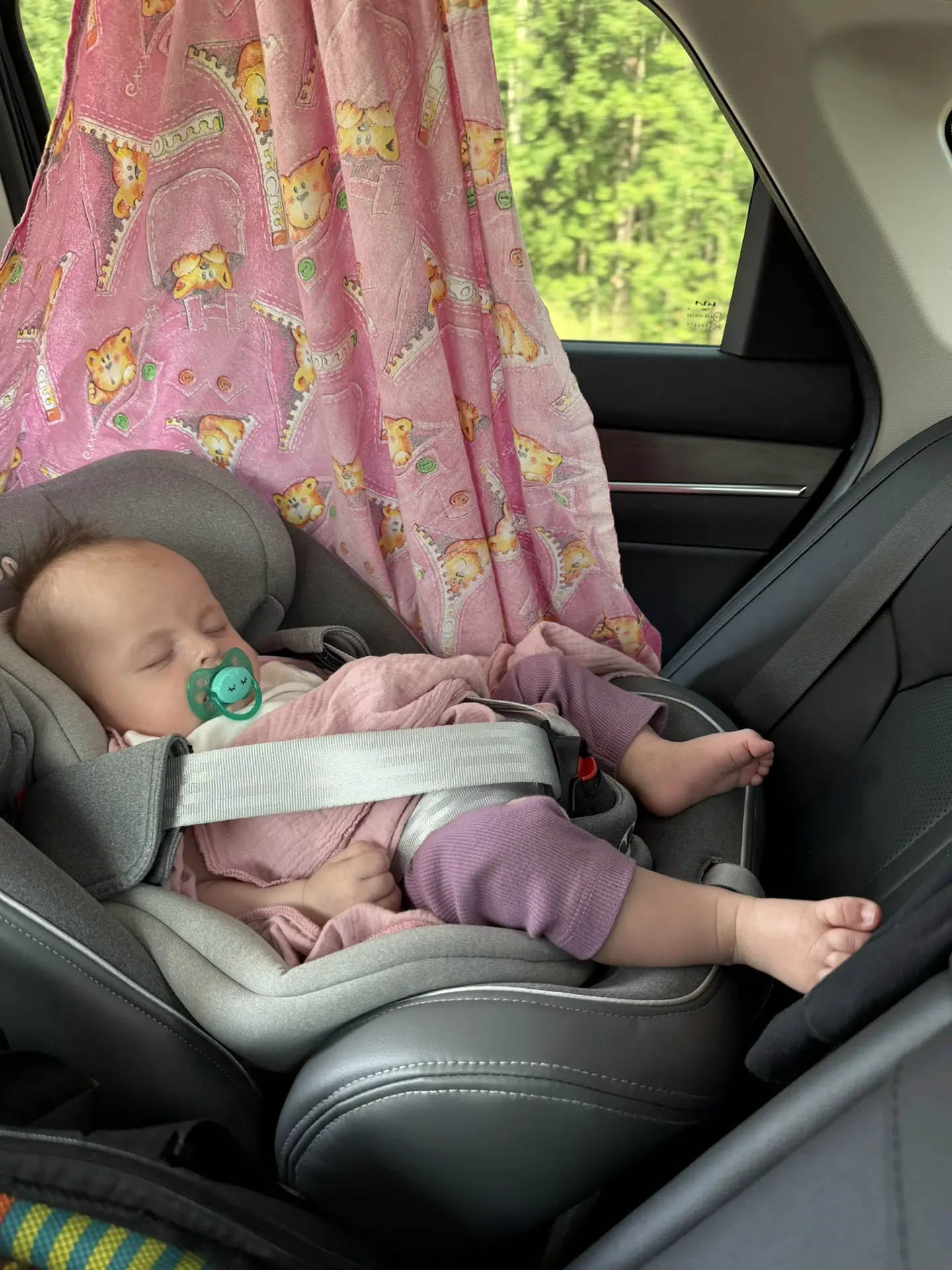 Отлично провели выходные на даче 😍
Когда-нибудь у нас обязательно будет свой дом или дача, а пока е