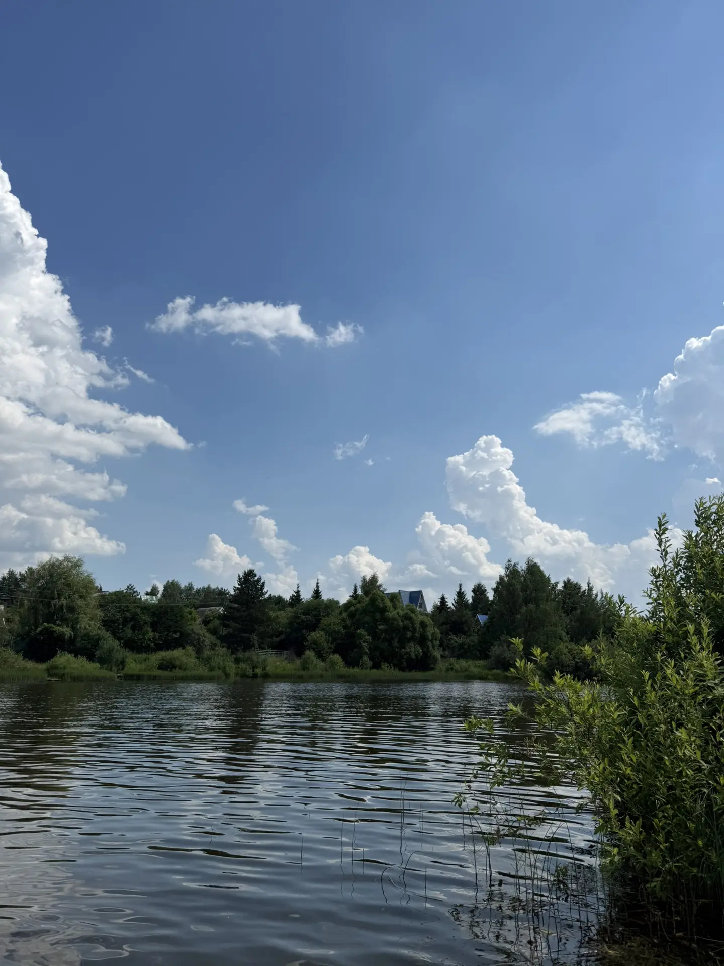 Открыли купальный сезон🌊